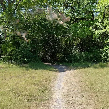 Take Your Pets On The Nearby Trail Or Shared Yard